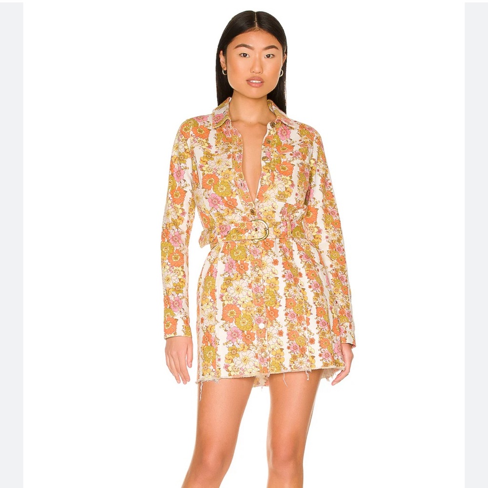 Show Me Your MuMu Durango Dress